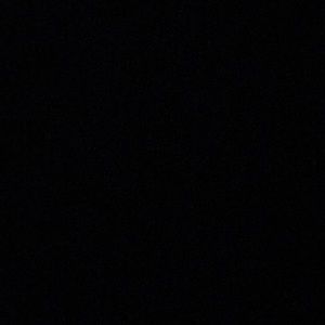 Meet your Posher, Riley